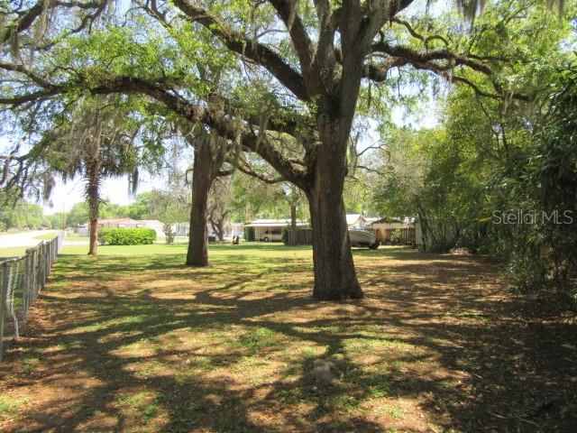 A large, grassy lot features several mature oak trees with Spanish moss — SE 102ND COURT RD, SUMMERFIELD, FL