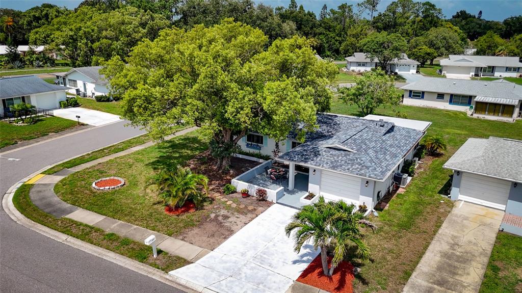 An aerial view shows a white house with a gray roof, large tree, and driveway — 1496 QUEEN ANNE DRIVE, PALM HARBOR, FL