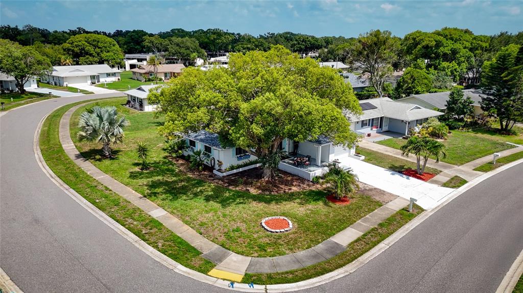 An aerial view shows a corner lot with a house, large tree, and paved driveway — 1496 QUEEN ANNE DRIVE, PALM HARBOR, FL