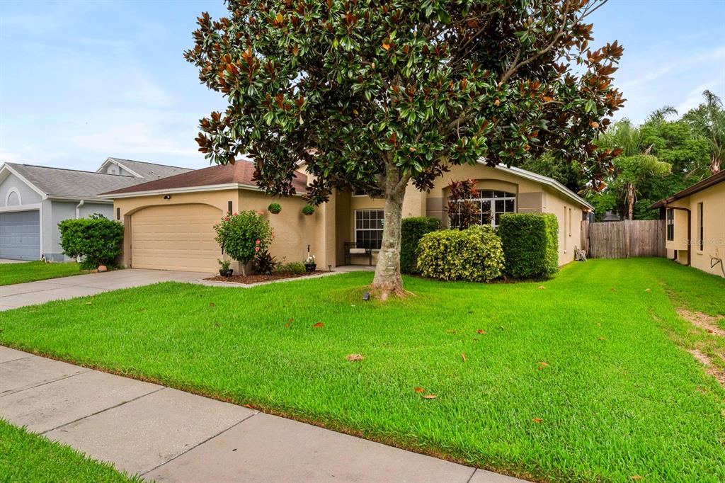 A single-story house with a tan exterior, a two-car garage, and a large front tree — 1518 WESTERLY DRIVE, BRANDON, FL