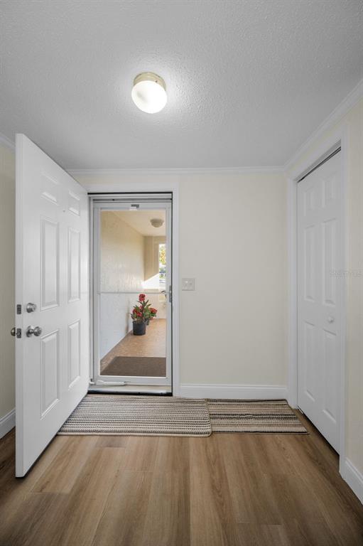 An entryway with light wood-look flooring, a white door, a closet, and a screen door — 817 RIVERSIDE DRIVE, TARPON SPRINGS, FL