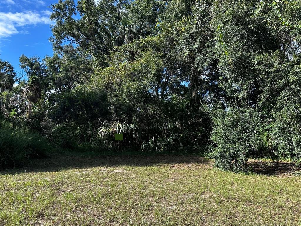 722 HIGHWAY 40 W, INGLIS, FL — photo 2 of 22