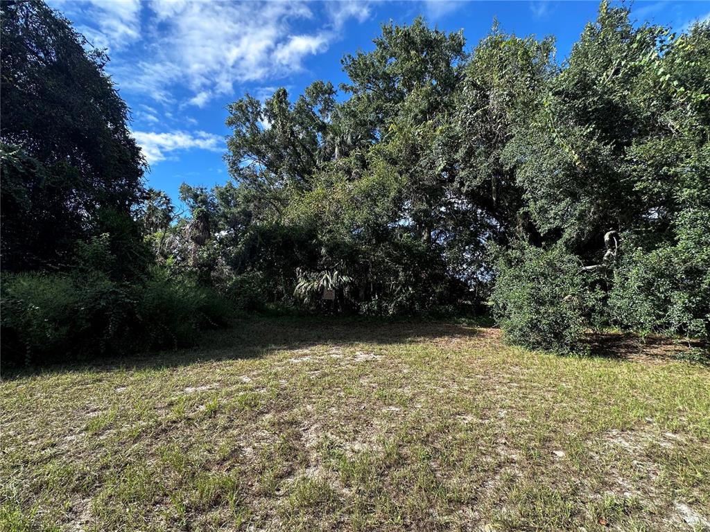 722 HIGHWAY 40 W, INGLIS, FL — photo 3 of 22