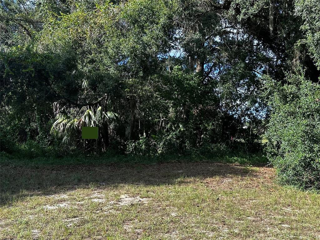 722 HIGHWAY 40 W, INGLIS, FL — photo 4 of 22