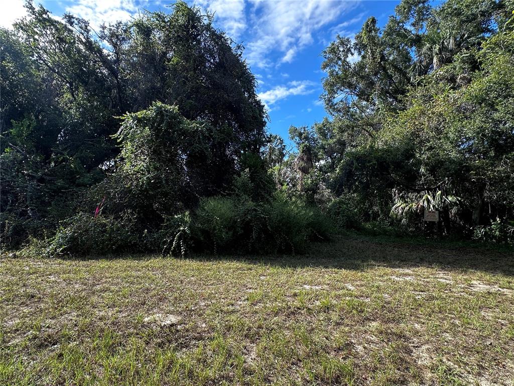 722 HIGHWAY 40 W, INGLIS, FL — photo 5 of 22
