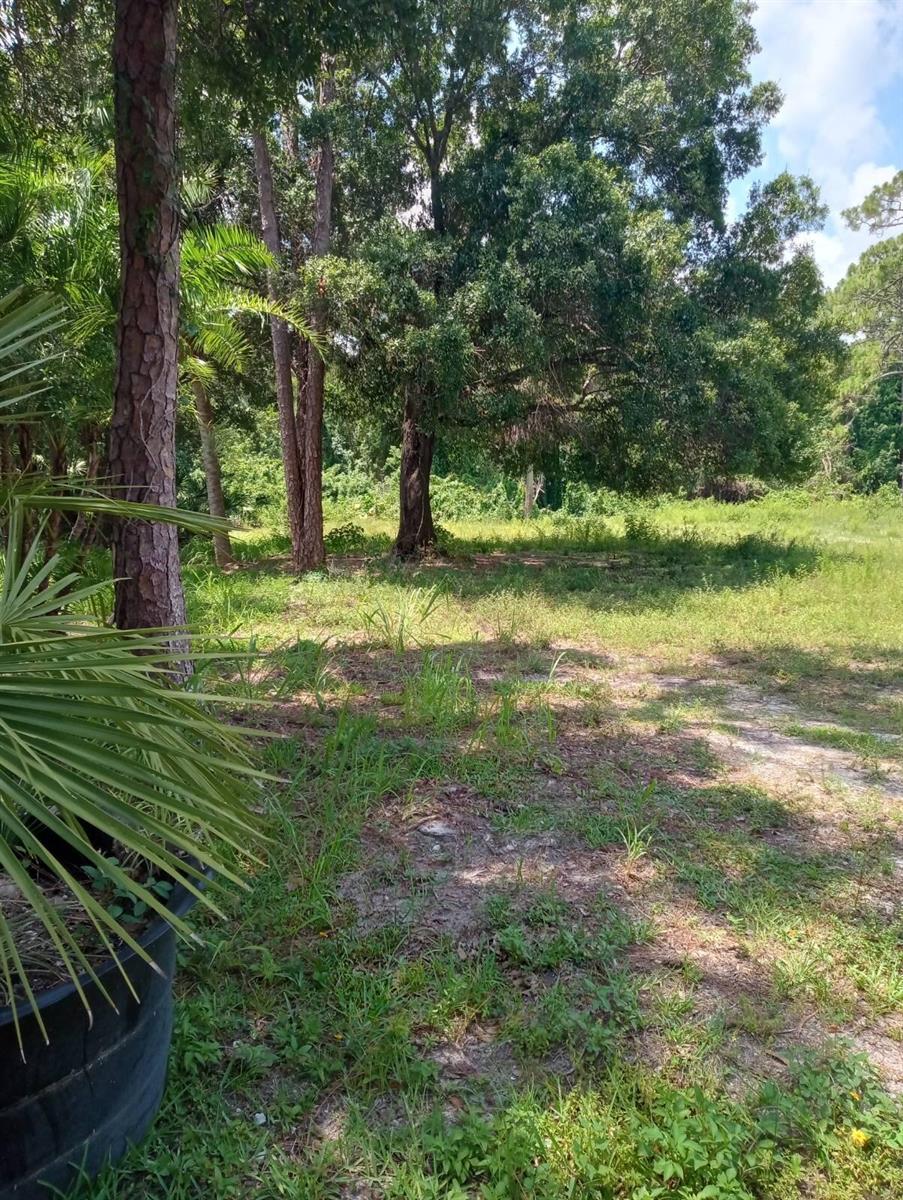 A grassy, partially shaded lot features several mature trees and a potted palm in front — WELLINGTON, FL