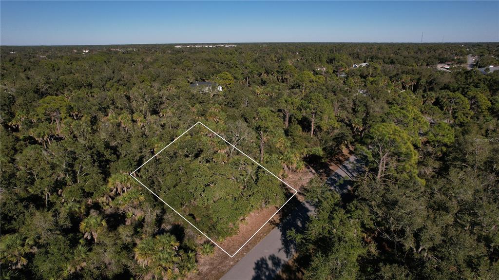An aerial view shows a rectangular plot of land outlined in white amidst dense trees — 14324 RITA AVENUE, PORT CHARLOTTE, FL