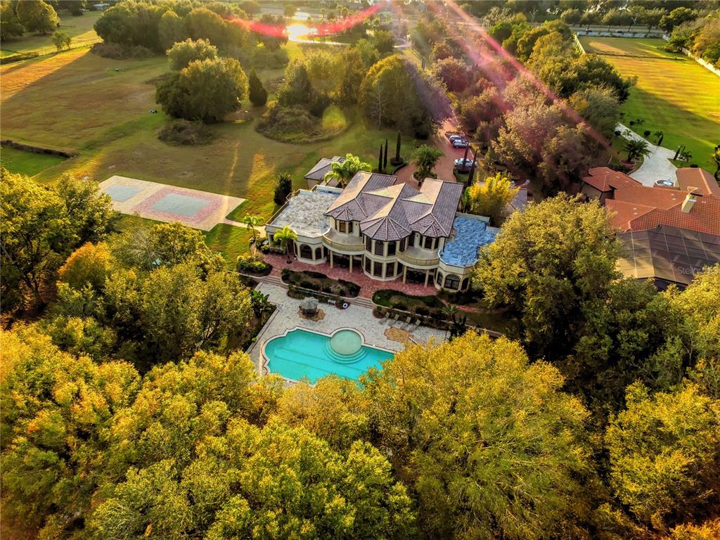 An aerial view shows a large multi-story house with a pool and surrounding wooded grounds — 117 BELLAMERE PALMS COURT, LUTZ, FL