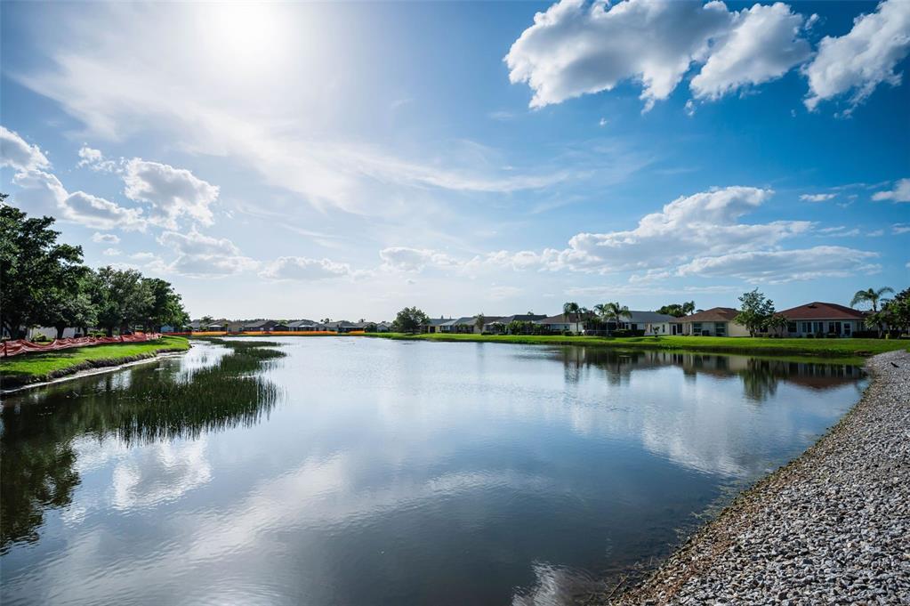 1933 ARBOR KNOLL LOOP, TRINITY, FL — photo 5 of 30