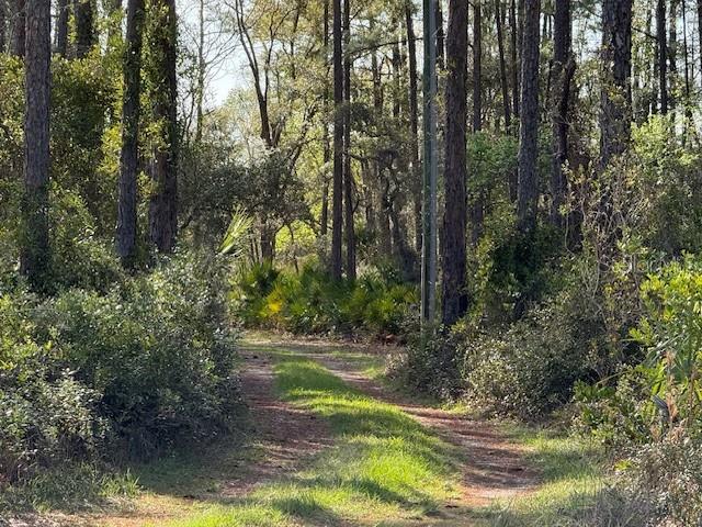 TBD US 19, INGLIS, FL — photo 3 of 10