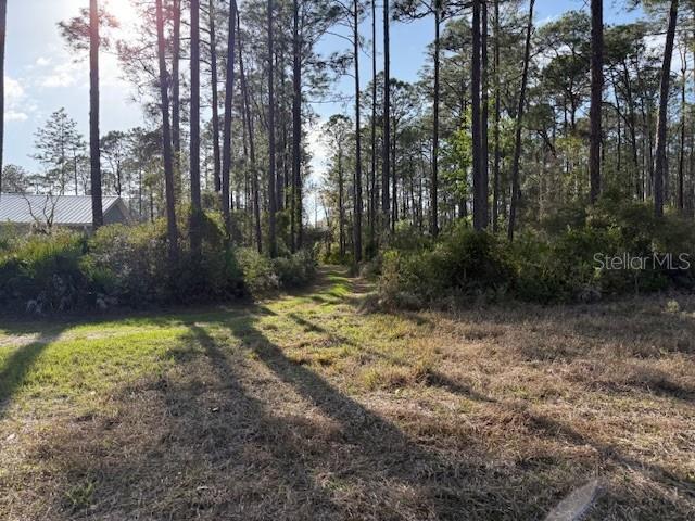 TBD US 19, INGLIS, FL — photo 4 of 10