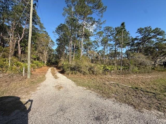 TBD US 19, INGLIS, FL — photo 5 of 10