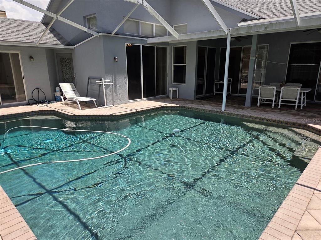 A backyard swimming pool with a screen enclosure and a patio area — 770 WILDFLOWER DRIVE, PALM HARBOR, FL
