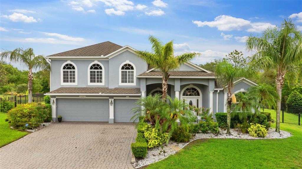 6234 TREMAYNE DRIVE, MOUNT DORA, FL — photo 2 of 12