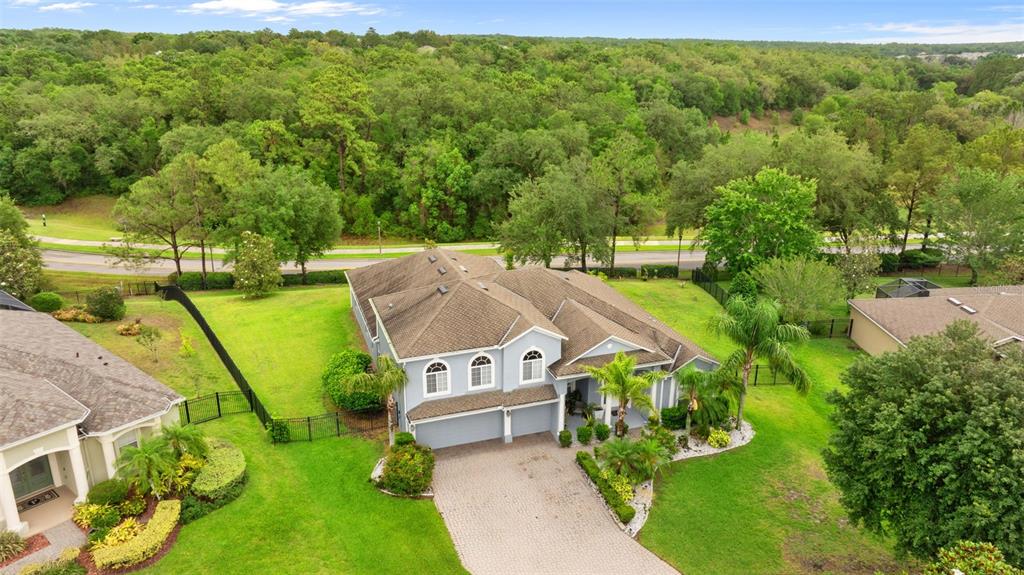 6234 TREMAYNE DRIVE, MOUNT DORA, FL — photo 3 of 12