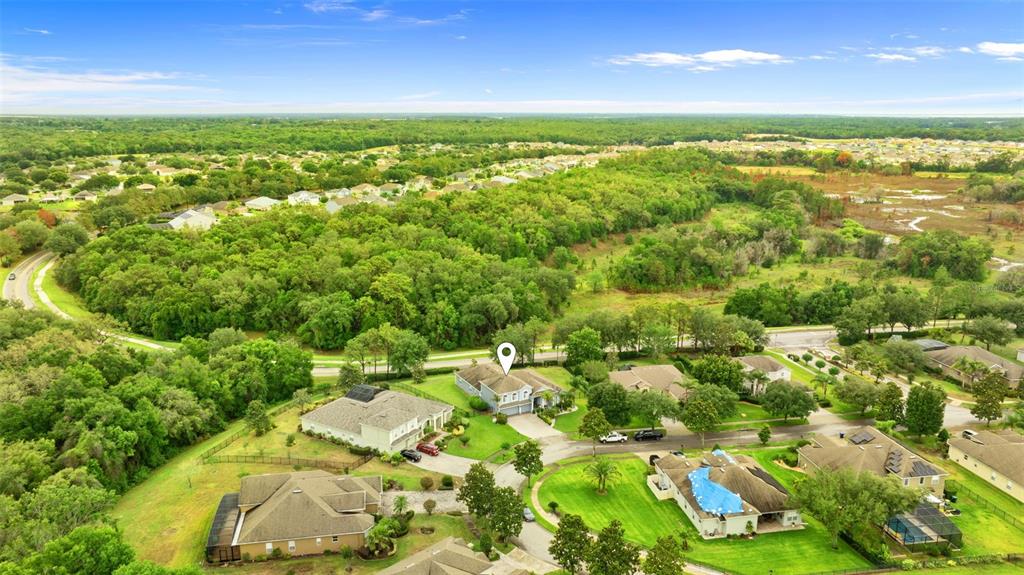 6234 TREMAYNE DRIVE, MOUNT DORA, FL — photo 4 of 12