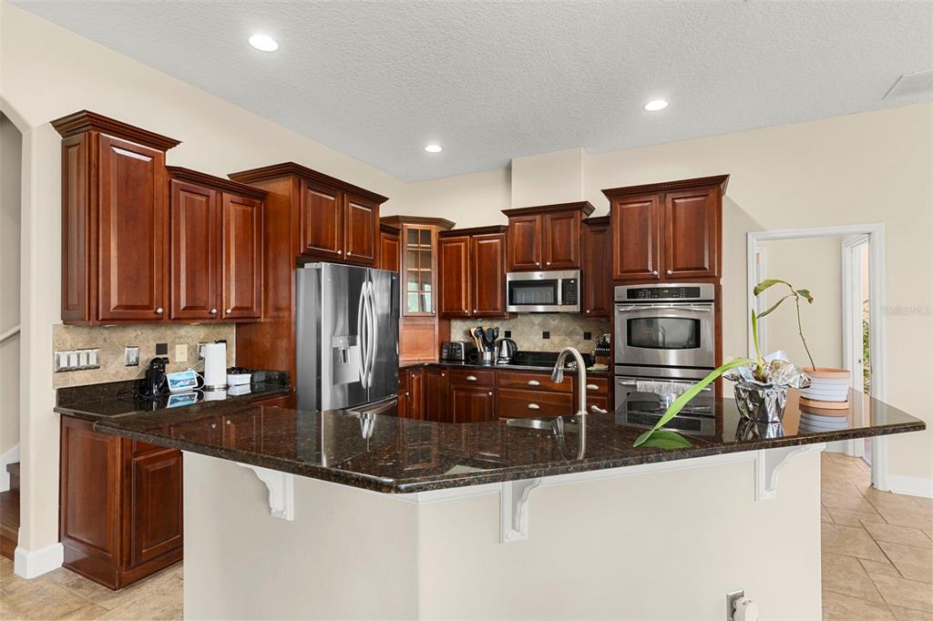 6234 TREMAYNE DRIVE, MOUNT DORA, FL — photo 5 of 12