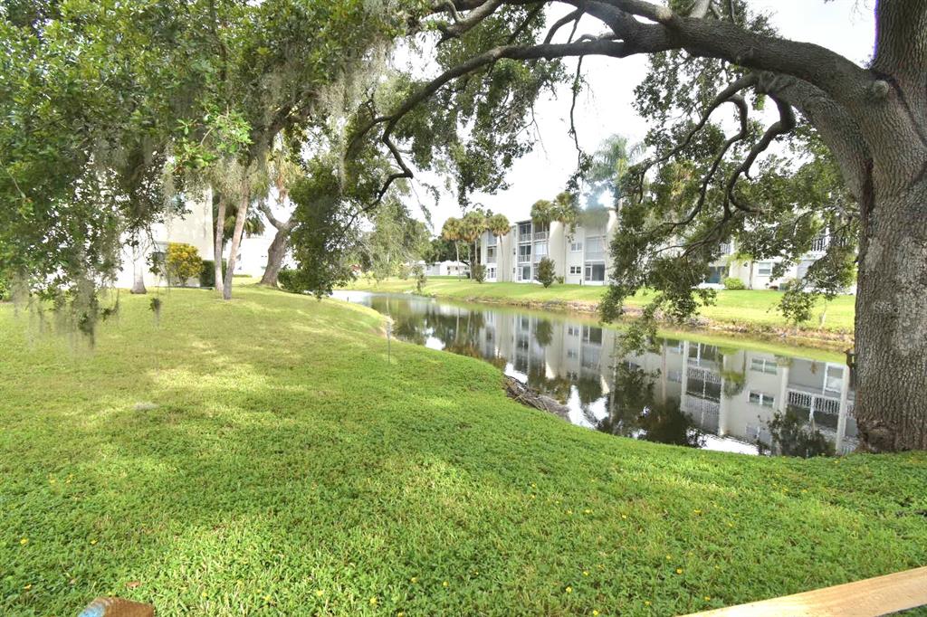 A view of a grassy lawn and a pond with apartment buildings in the background — 940 VIRGINIA STREET UNIT 108, DUNEDIN, FL