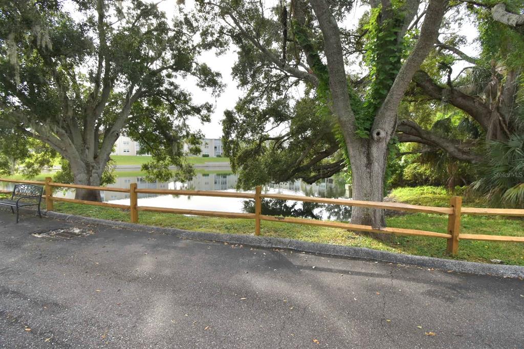 A wooden fence borders a paved area overlooking a pond surrounded by large trees — 940 VIRGINIA STREET UNIT 108, DUNEDIN, FL
