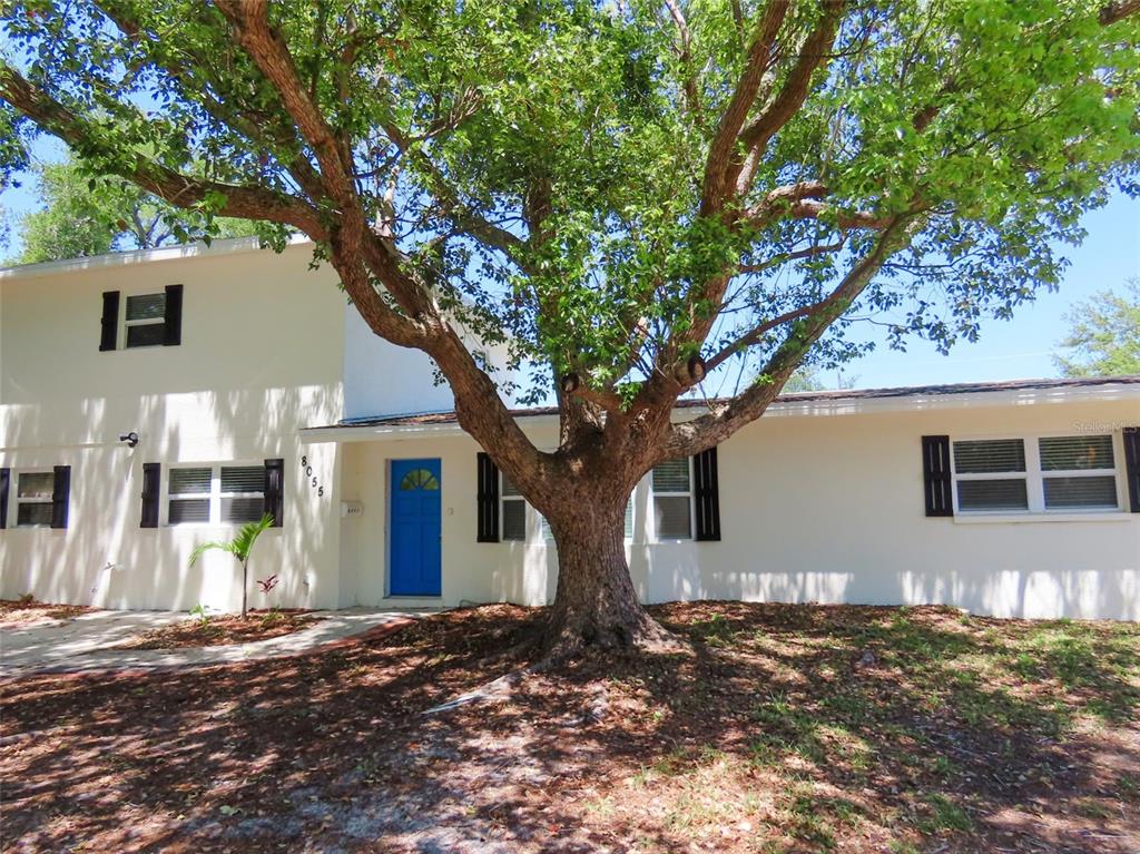 A two-story house with a blue front door and a large tree in the yard — 8055 33RD AVENUE N, ST PETERSBURG, FL