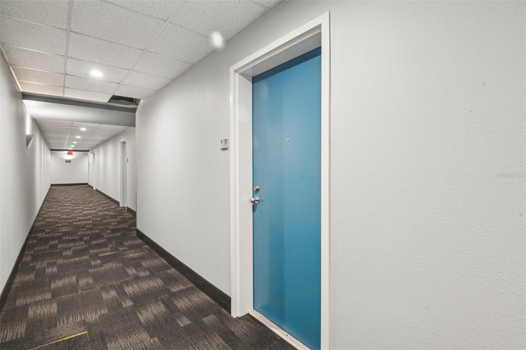 A long hallway with patterned carpet leads to a blue door in a white corridor — 1208 E KENNEDY BOULEVARD UNIT 616, TAMPA, FL
