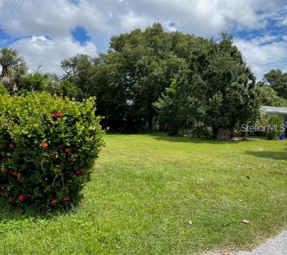 A grassy lot with a large flowering bush in the foreground and trees behind — 6721 10TH AVENUE TERRACE S, SOUTH PASADENA, FL
