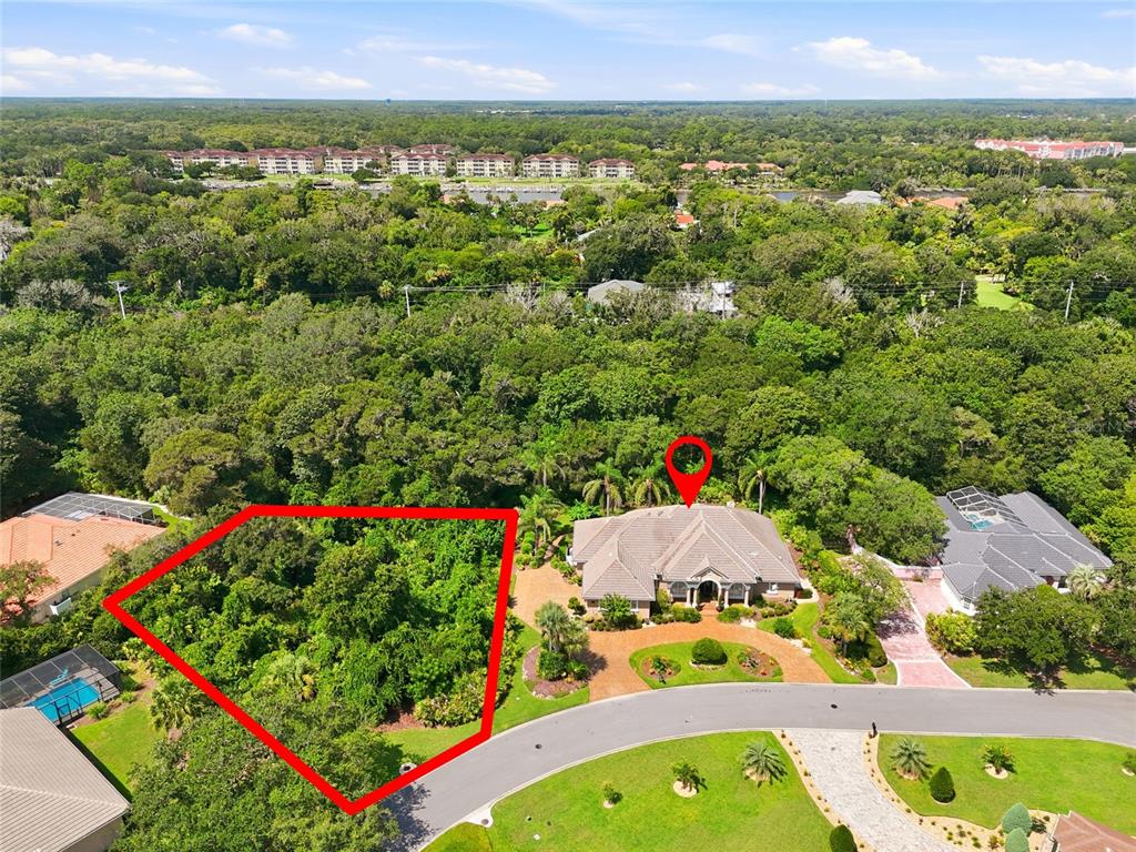 An aerial view shows a house next to a large, undeveloped wooded lot — 5 ROMA COURT, PALM COAST, FL