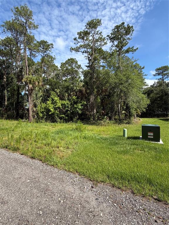 A grassy, undeveloped lot features a gravel road in the foreground and dense woods behind — 1340 JAYCE CT, GENEVA, FL