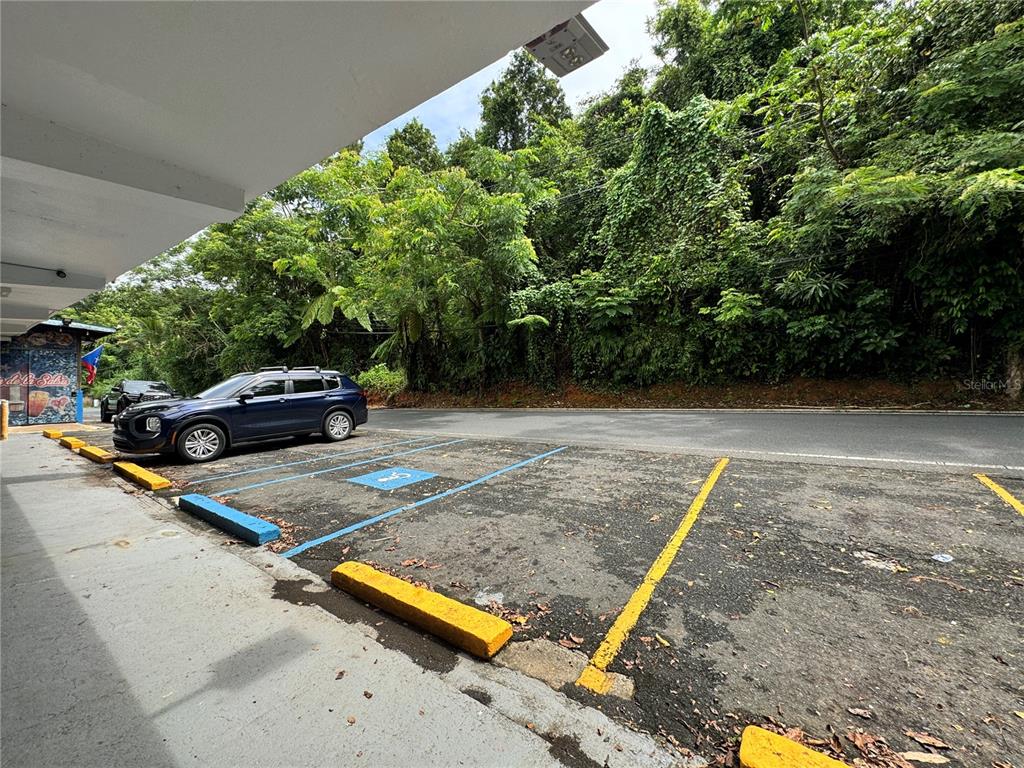 A paved parking area with a blue-marked accessible space sits beside a lush hillside — 842 N CAMINO LOS MURIELES, SAN JUAN, PR
