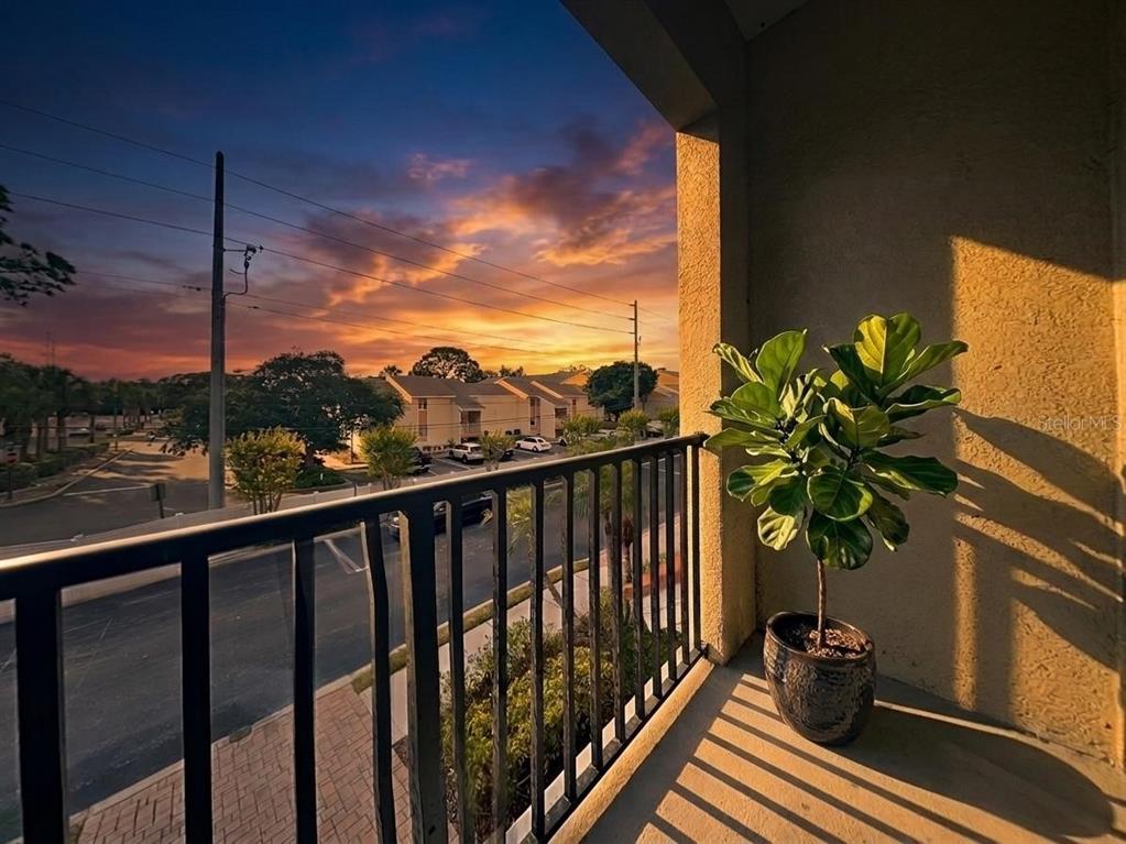 A balcony with a potted fiddle leaf fig plant overlooks a parking lot at sunset — 501 100TH AVENUE N, ST PETERSBURG, FL