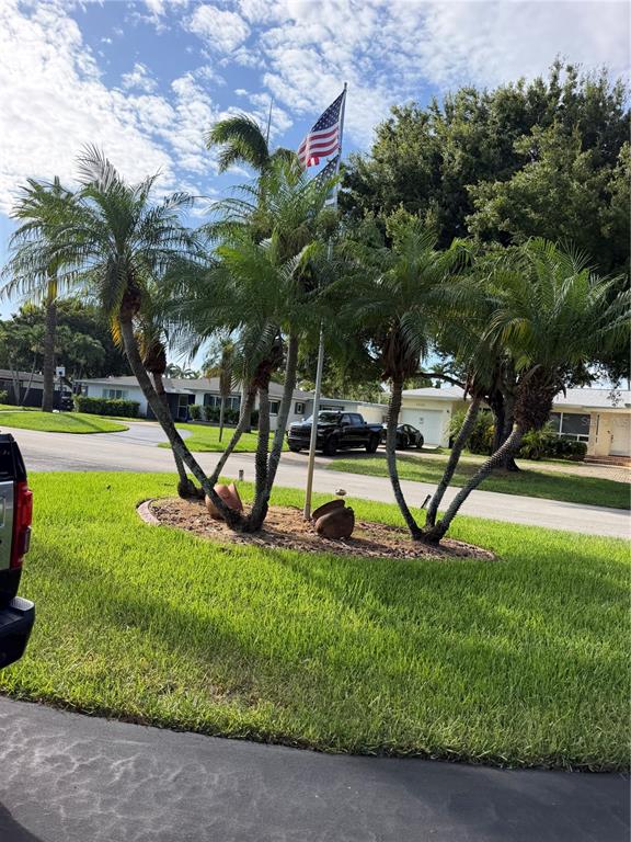 A cluster of palm trees surrounds a flagpole with an American flag in a front yard — 3230 HARRISON STREET, HOLLYWOOD, FL