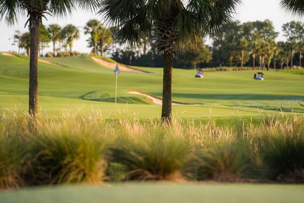 A view of a golf course green with palm trees and sand bunkers — 17724 GAWTHROP DRIVE UNIT 208, BRADENTON, FL