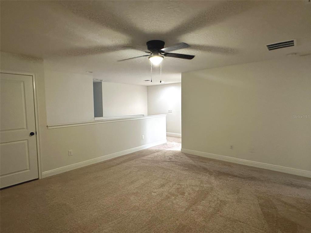 A carpeted room features a ceiling fan, a white door, and a half-wall railing — 11634 CAMBIUM CROWN DRIVE, RIVERVIEW, FL