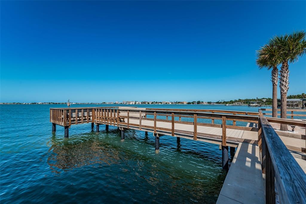 100 BLUFF VIEW DRIVE UNIT 608C