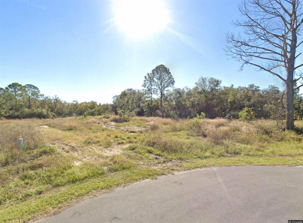 A vacant, grassy lot with scattered trees is viewed from the edge of a paved road — 316 BASS LANE, KISSIMMEE, FL