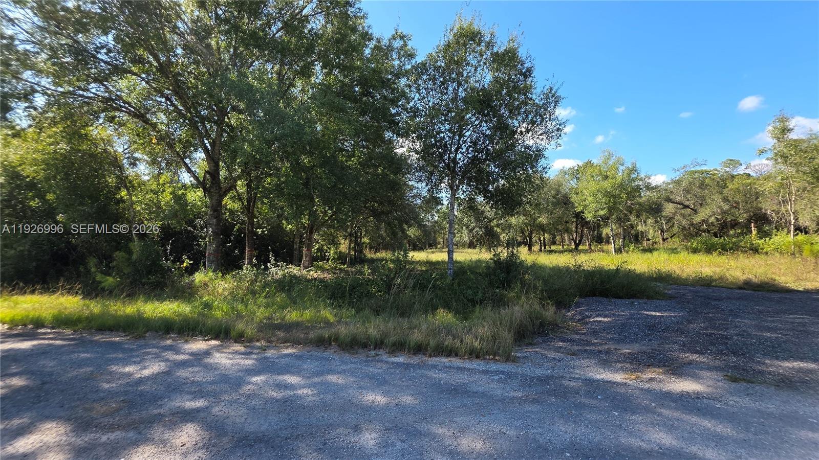 A gravel driveway leads to a wooded, undeveloped lot under a clear blue sky — 340 N Jinete ST, Clewiston FL 33440, CLEWISTON, FL
