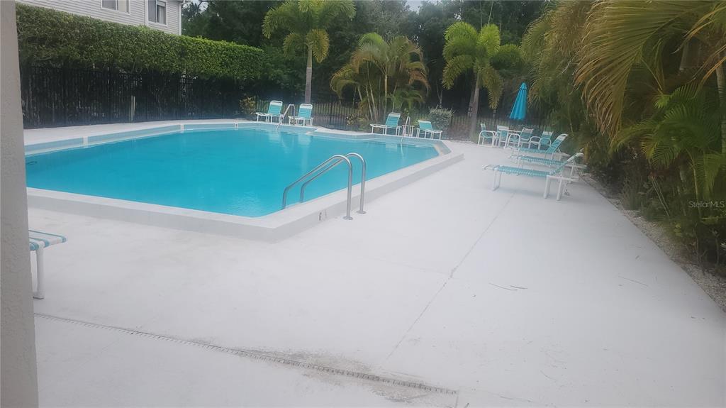 A rectangular swimming pool with a concrete deck and lounge chairs sits outdoors — 2737 E ENTERPRISE ROAD UNIT 151, CLEARWATER, FL