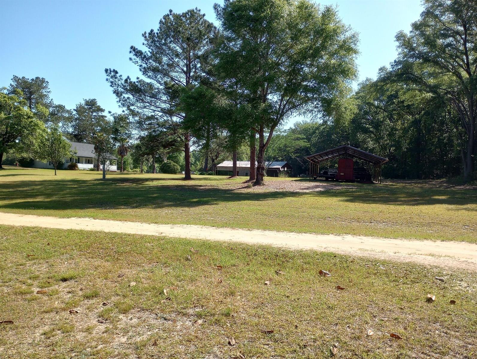 A dirt road runs alongside a wooded lot with dense trees and underbrush — 1900 Olive Lane, FL 32425, FL