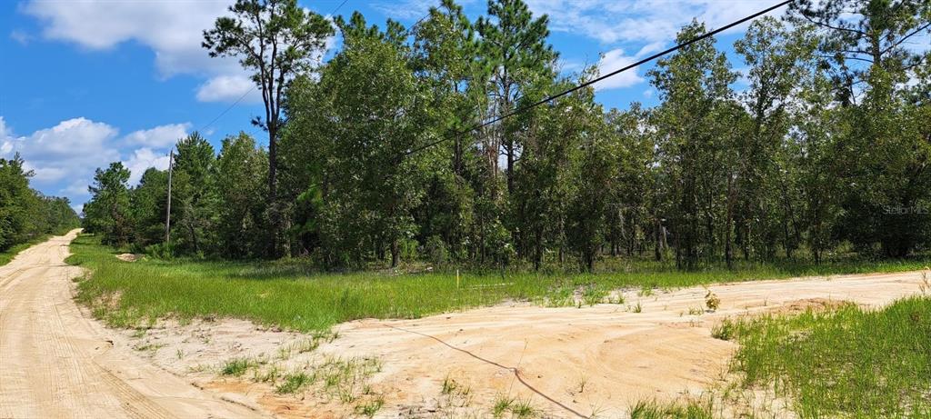 A dirt road intersects in front of a wooded lot under a blue sky — 216 HIGHLAND DRIVE, HAWTHORNE, FL