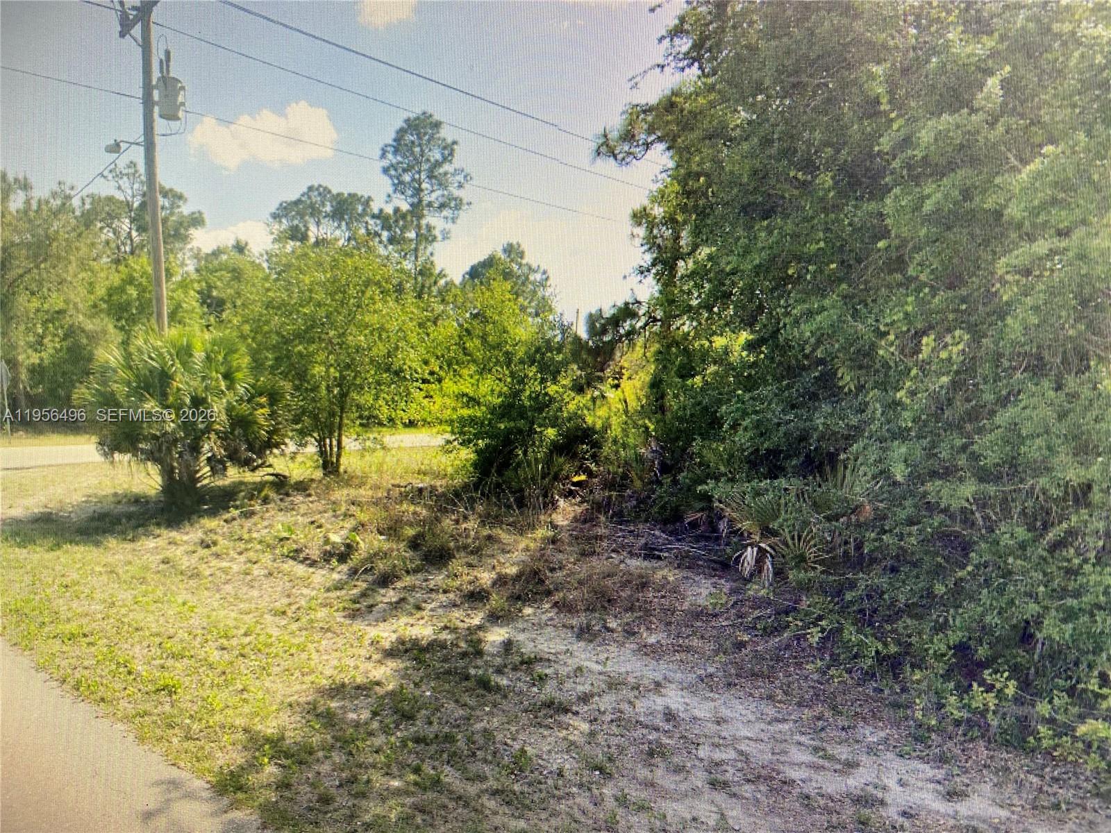 A vacant, wooded lot features sandy ground, native vegetation, and a utility pole — 176 BLAKELY AVE S, Lehigh Acres FL 33974, LEHIGH ACRES, FL