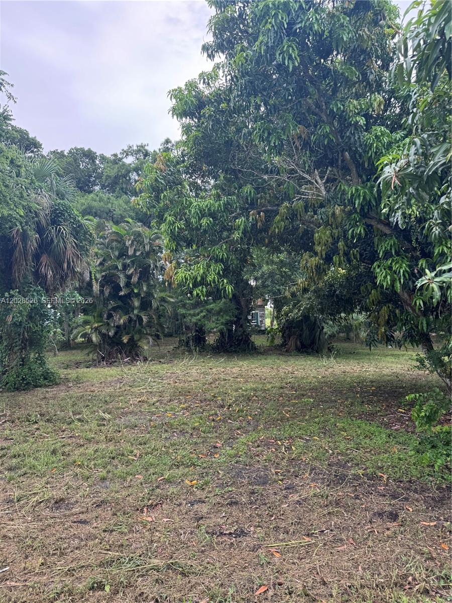 A grassy lot is filled with mature trees and dense tropical vegetation — 19121 SW Conners Hwy, Port Mayaca FL 33438, PORT MAYACA, FL