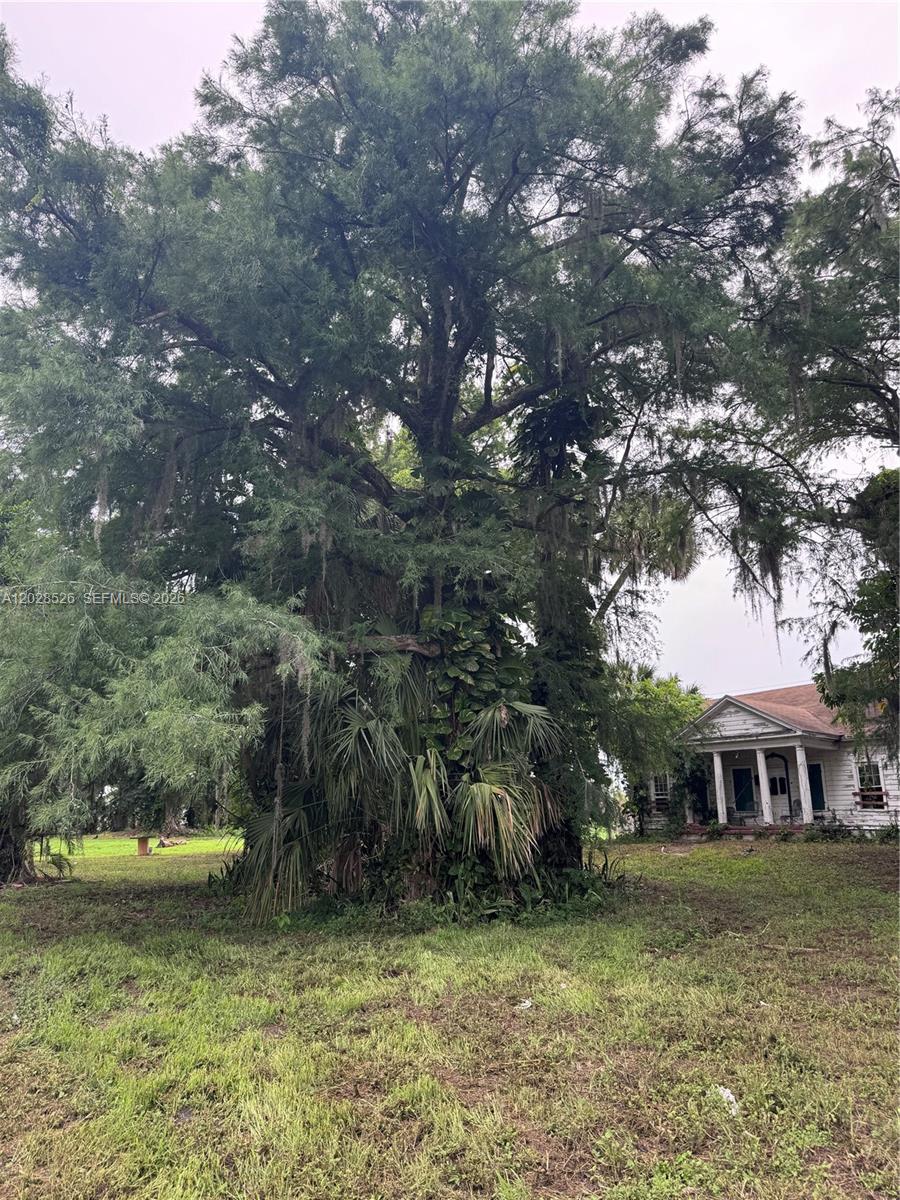 A large, moss-draped tree stands in the yard beside a weathered, white-columned house — 19121 SW Conners Hwy, Port Mayaca FL 33438, PORT MAYACA, FL