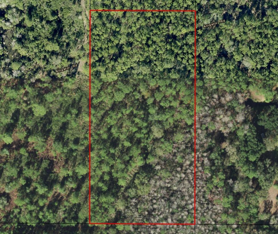An aerial view shows a rectangular plot of land covered in dense forest and trees — 0 Alligator Road, Clermont FL 33868, CLERMONT, FL