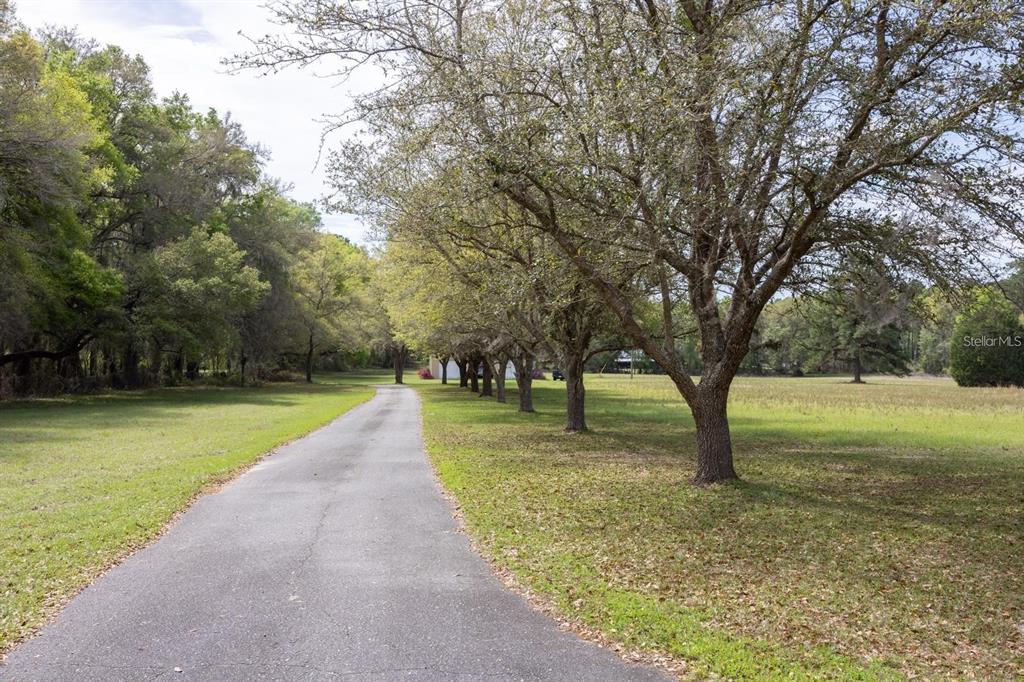 A paved driveway leads toward a house through a grassy yard lined with large trees — 18604 NW 262ND AVENUE, ALACHUA, FL