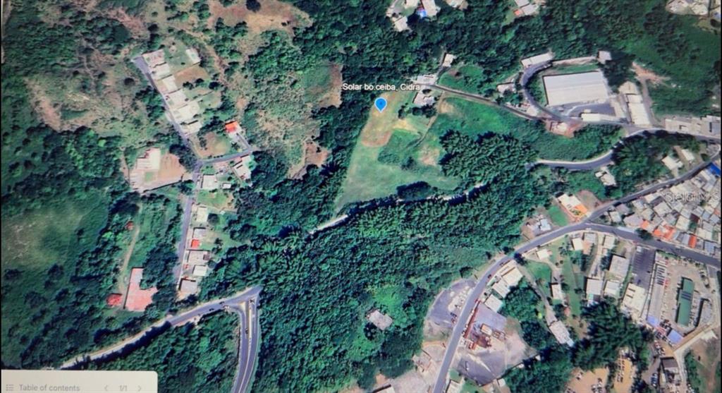 This is an aerial map view showing a plot of land in a rural area — 172, BO. RIO ABAJO, CIDRA, PR