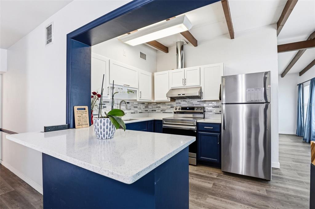A kitchen features blue cabinets, a coffee station, and a pass-through to an adjacent room — 713 W 116TH AVENUE, TAMPA, FL