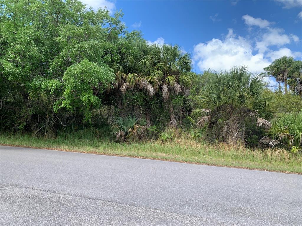 A paved road runs alongside a wooded lot with palm trees and dense vegetation — 1375 CLEARVIEW DRIVE, PORT CHARLOTTE, FL