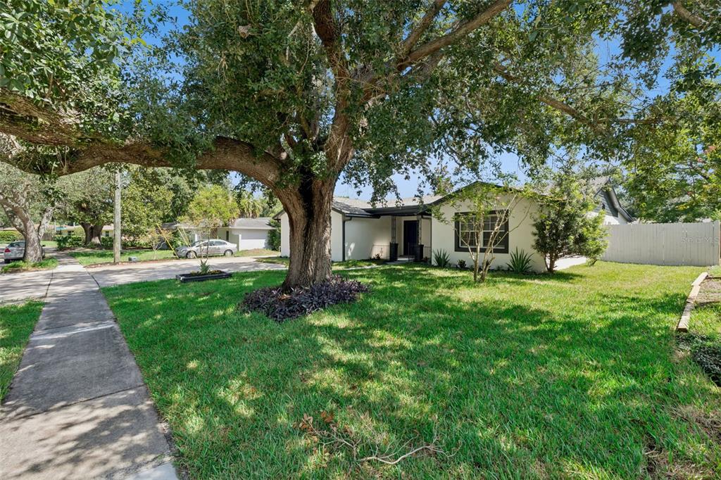 A single-story house with a large oak tree in the front yard and a sidewalk — 1033 CRYSTAL BOWL CIRCLE, CASSELBERRY, FL