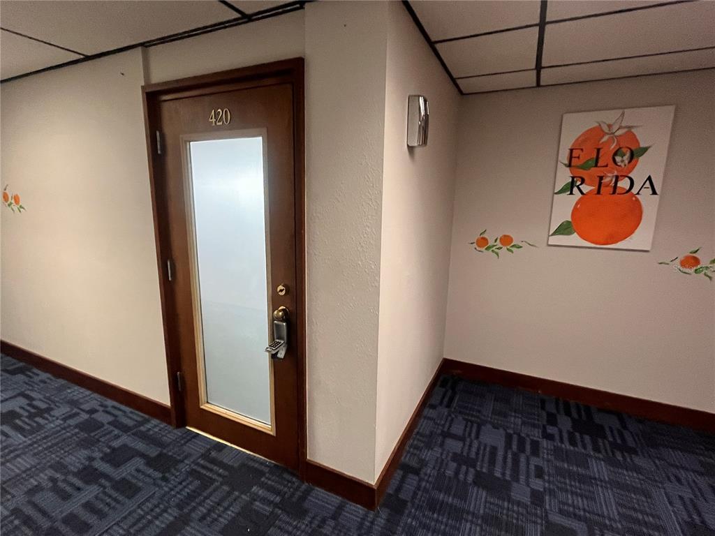 A hallway features a door labeled 420, patterned carpet, and a Florida-themed wall print — 141 E CENTRAL AVENUE UNIT 420, WINTER HAVEN, FL