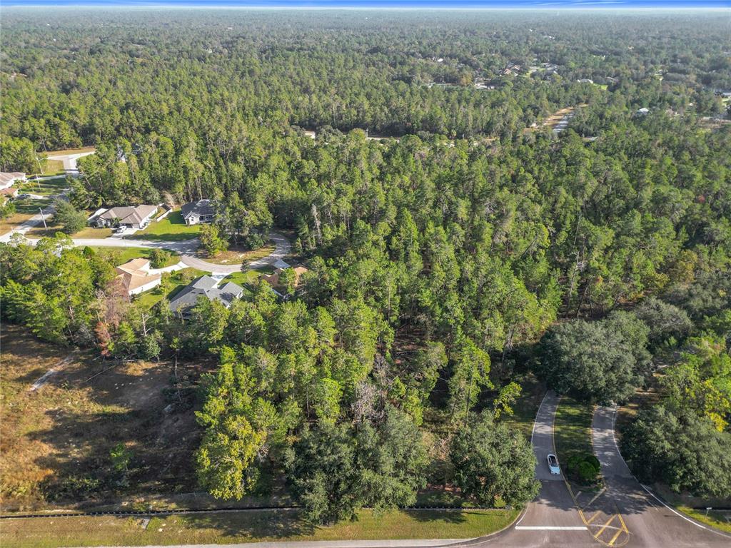 An aerial view shows a wooded residential lot adjacent to a paved road and houses — 1 OAK VILLAGE BOULEVARD, HOMOSASSA, FL